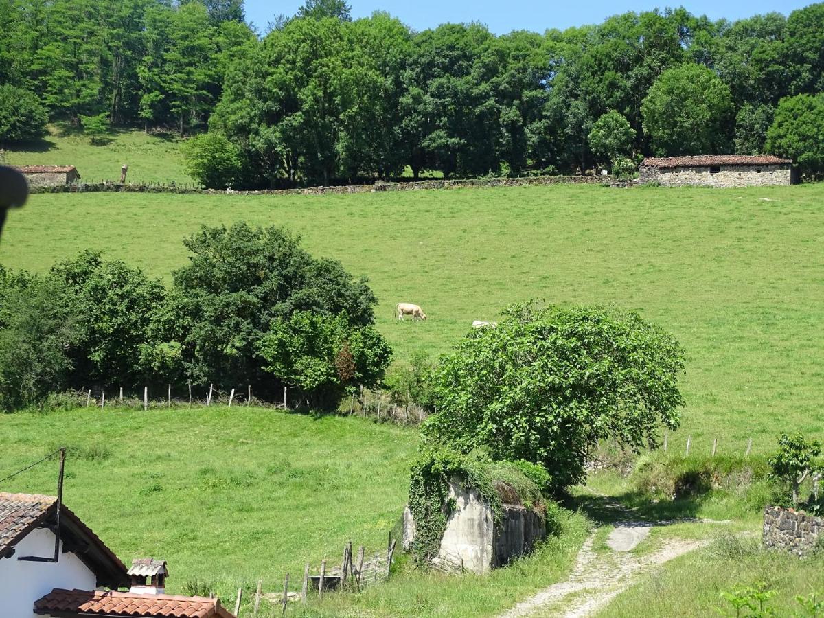 Affittacamere Matxingonea Zozaia Esterno foto